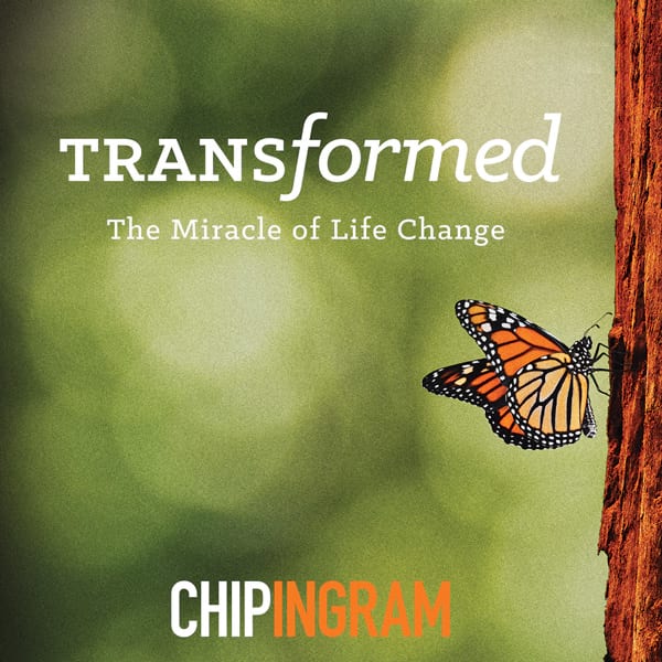 Break the cycle and be Transformed to the person you longed to be, spiritual training image