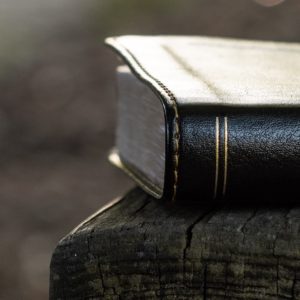Holy Bible God's Word on a bench