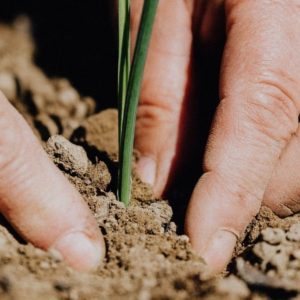 Studying these ten scriptures that reveal God's purpose for His disciples will help direct you to His plan for your life.