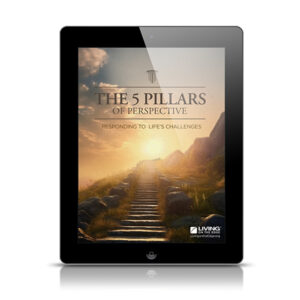 2024 The 5 Pillars of Perspective pdf