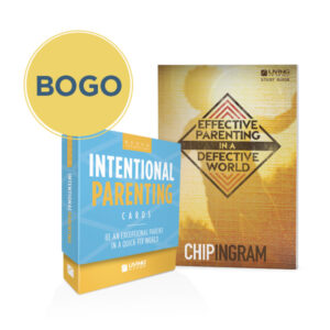 Effective Parenting in a Defective World BOGO