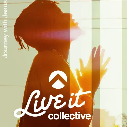 LiveItCollective_500x500