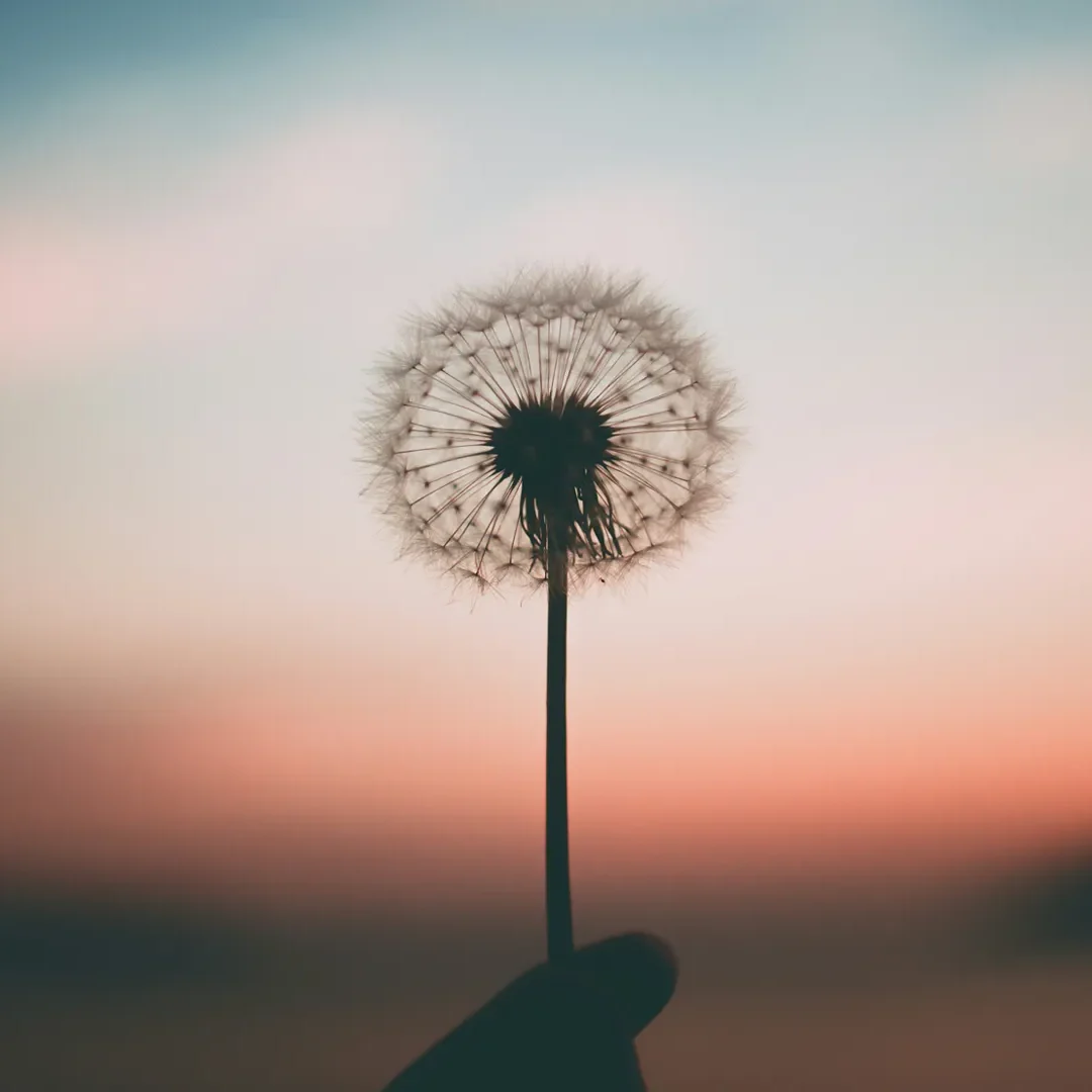 Seasons_Hope_1920x1080_01