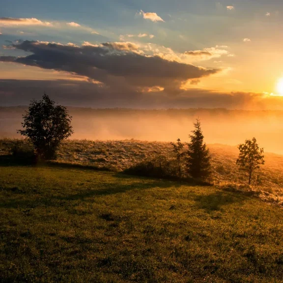 Seasons_Renewal_1920x1080_01