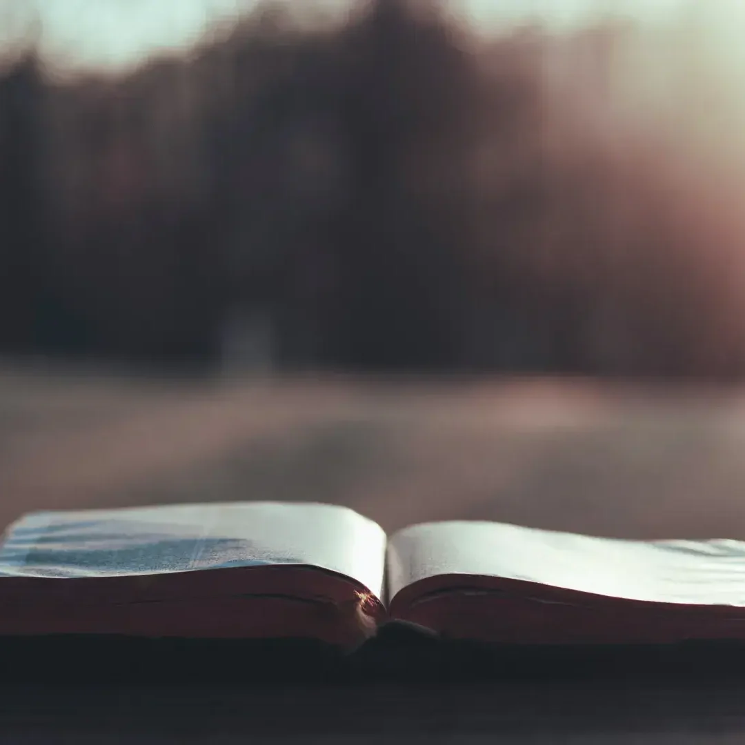 Seasons_Truth_1920x1080_01